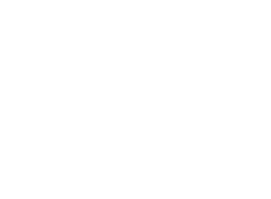 Anlu Store